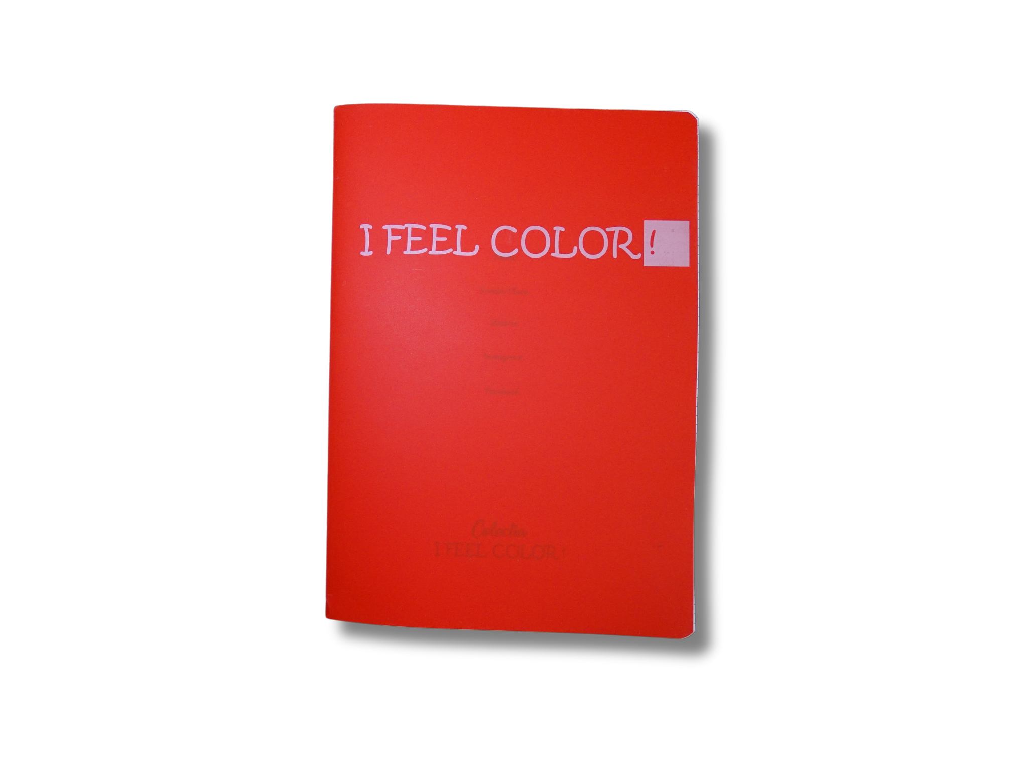 CAIET A4 DICTANDO I FEEL COLOR 60 PAG 70GR 6423062010987
