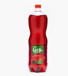 CORY SUC FRUCTE DE PADURE 2L(6BUC) SGR 5942271004750
