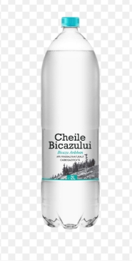 CHEILE BICAZULUI APA PLATA 2L (6BUC)  SGR 5940541854142