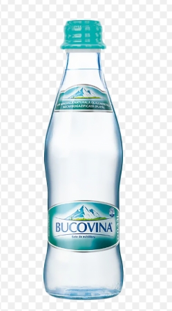 BUCOVINA APA PLATA 0.33ST (24BUC) SGR 59492962