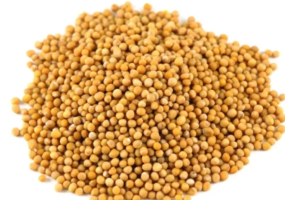 BOABE DE MUSTAR 20 GR 6427619000087
