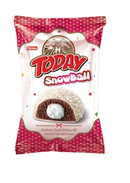 TODAY SNOWBALL COCOS  40GR (24BUC/CUT) 8693029032606